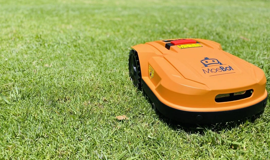 How to Care for Lawn in Australia